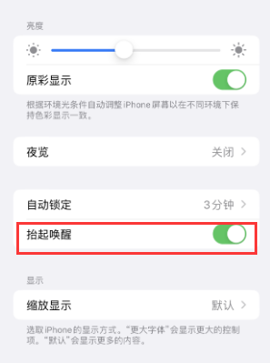 薛城苹果授权维修站分享iPhone轻点无法唤醒怎么办