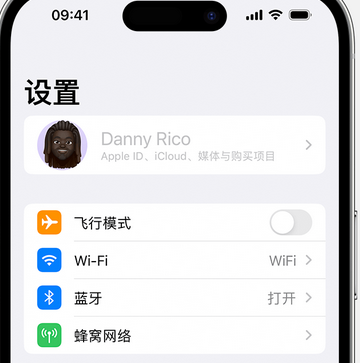 薛城appleID维修服务iPhone设置中Apple ID显示为灰色无法使用 