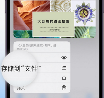 薛城apple维修中心分享iPhone文件应用中存储和找到下载文件