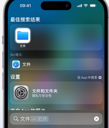 薛城apple维修中心分享iPhone文件应用中存储和找到下载文件 