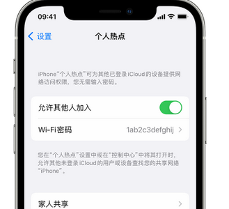 薛城apple服务站点分享iPhone上个人热点丢失了怎么办 