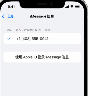 薛城apple维修iPhone上无法正常发送iMessage信息 