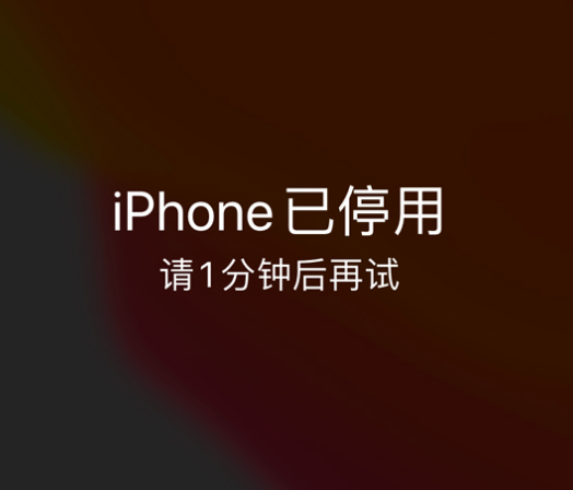 薛城苹果手机维修分享:iPhone 显示“不可用”或“已停用”怎么办？还能保留数据吗？ 