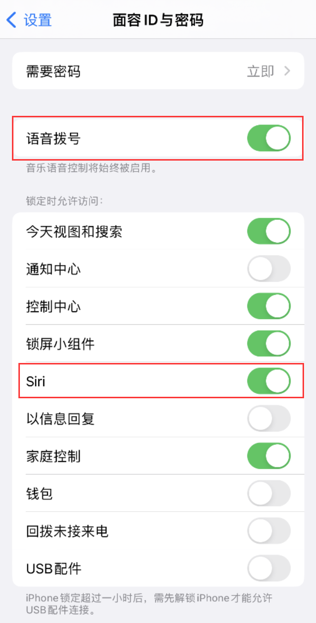 薛城苹果维修网点分享不解锁 iPhone 的情况下通过 Siri 拨打电话的方法 