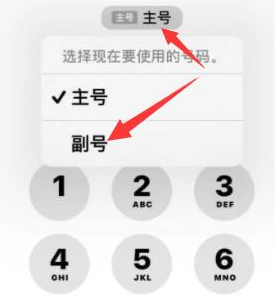 薛城苹果14维修店分享iPhone 14 Pro Max使用副卡打电话的方法 