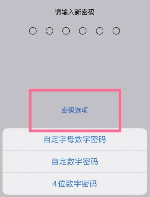 薛城苹果14维修分享iPhone 14plus设置密码的方法 