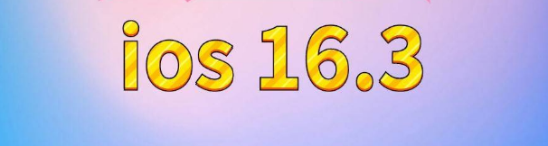 薛城苹果服务网点分享苹果iOS16.3升级反馈汇总 