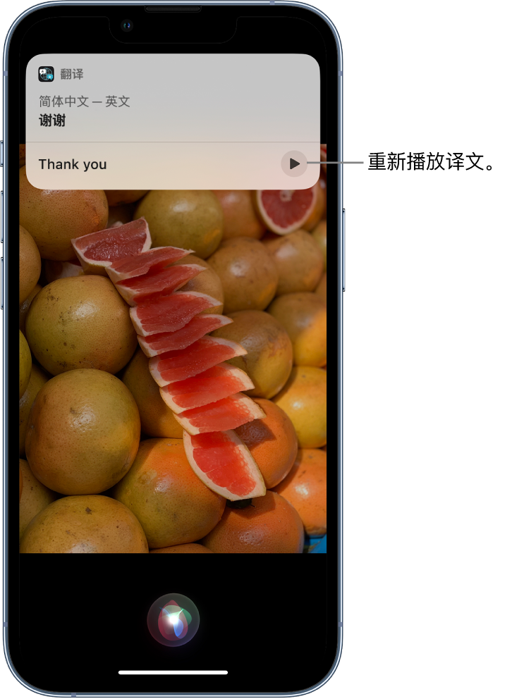 薛城苹果14维修分享 iPhone 14 机型中使用 Siri：了解 Siri 能帮你做什么 