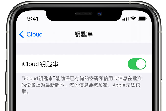 薛城苹果手机维修分享在 iPhone 上开启 iCloud 钥匙串之后会储存哪些信息 