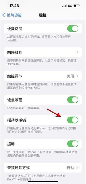 薛城苹果手机维修分享iPhone手机如何设置摇一摇删除文字 